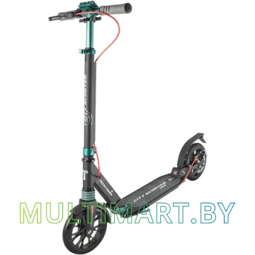 Самокат Tech Team City Scooter Disk Brake 2020 (черный/зеленый)
